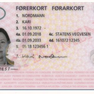 buy norwegian drivers license