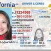 Buy USA drivers license