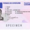 buy luxemburg drivers license
