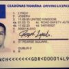 irish drivers license renewal